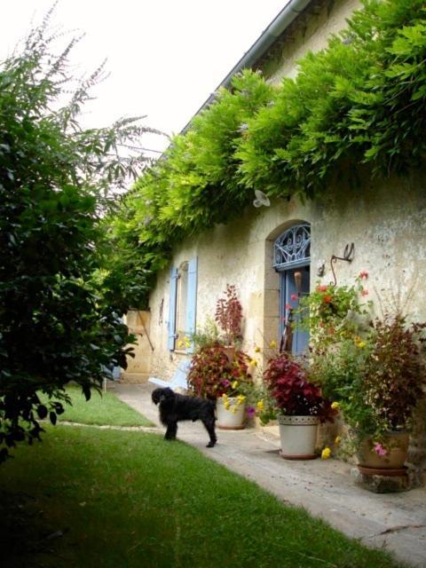 Bed and Breakfast La Petite Provence De Touron Pujols  Экстерьер фото